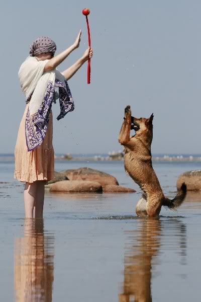haribol dog