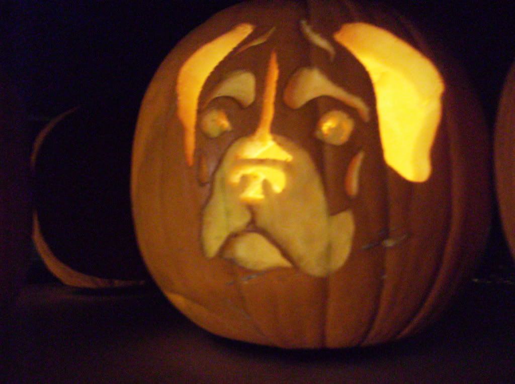 boxer-pumpkin-stencil-page-3-boxer-forum-boxer-breed-dog-forums