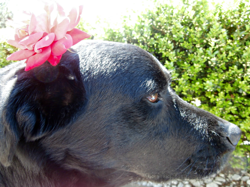 photo F2_zpsf20db842.png