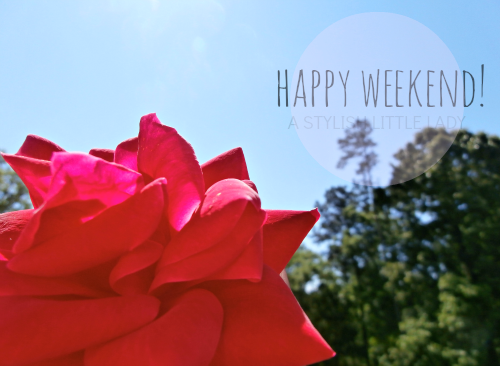 photo floral1Aa_zps6b622d08.png