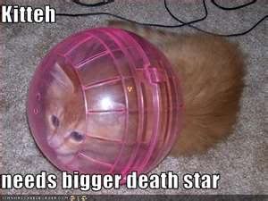 biggerdeathstarlolcat.jpg