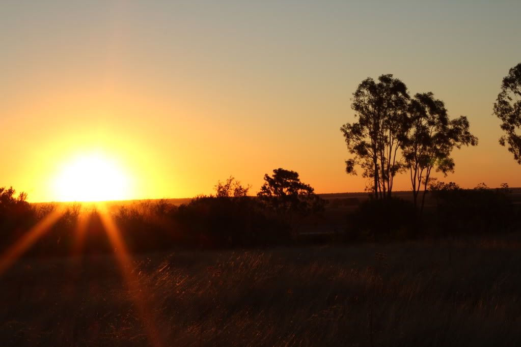 IMAGE: http://i1234.photobucket.com/albums/ff405/schyeug/IMG_3520.jpg