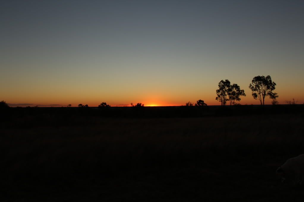 IMAGE: http://i1234.photobucket.com/albums/ff405/schyeug/IMG_3548.jpg