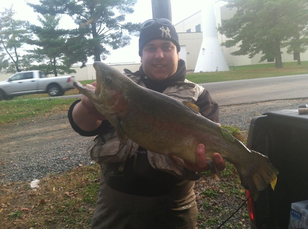Slob rainbow trout!! New Jersey Hunters