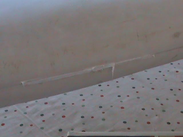 DSC05756.jpg