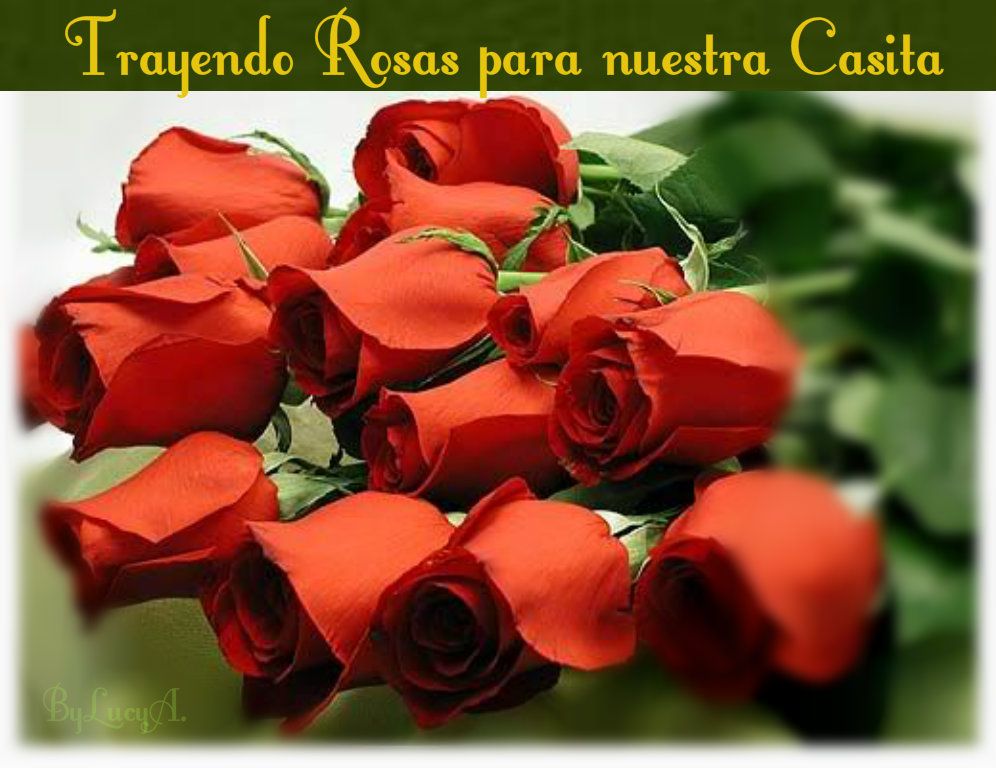 rosas