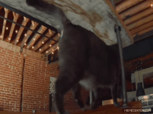 ttush_zpslq4palxs.gif