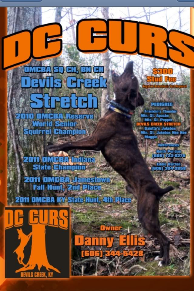 UKC Forums Devils Creek Stretch ukc-forums-devils-creek-stretch