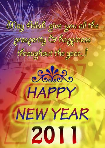 New Year 2011 Photo Picture