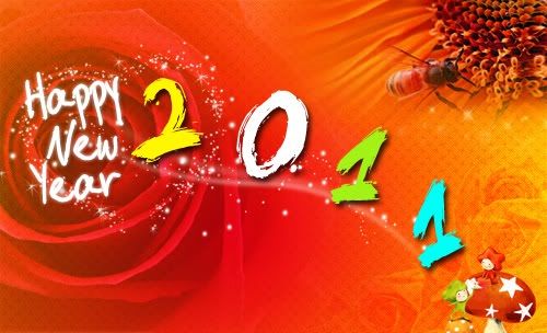 New Year 2011 Photo Picture
