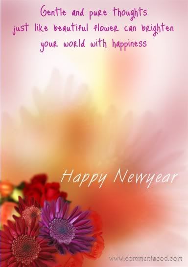 New Year 2011 Photo Picture