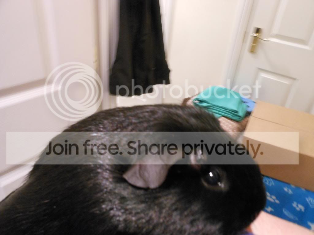 016_zpsc5fcecc4.jpg