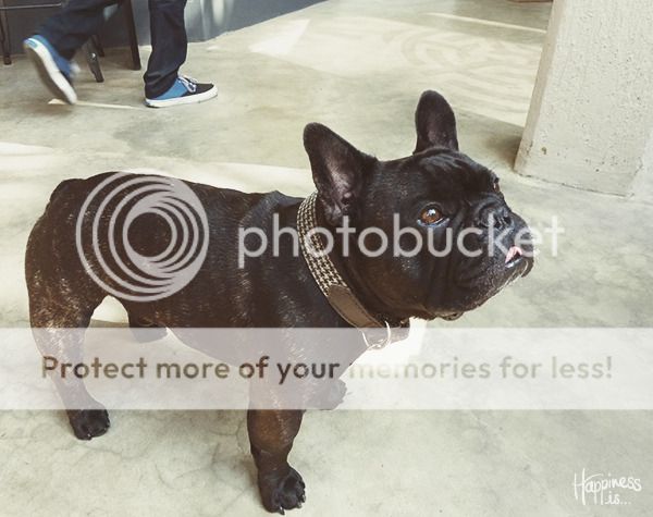  photo Happinessis_Tree-Natural-Cafe-and-Yoga-Studio_07_zpsnwuzbcbk.jpg